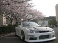 another pic of the s14 during sakura blooming